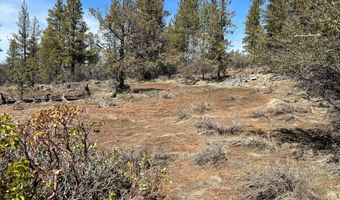 Nighthawk Drive lot 19, Bonanza, OR 97623