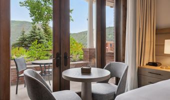 415 E Dean St Unit 1 Week 29, Aspen, CO 81611