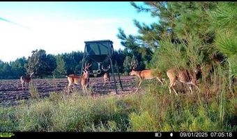 2200 Gillionville Rd, Albany, GA 31707