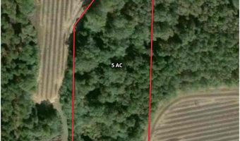 005 G Wallace Buie Rd, Ashford, AL 36376