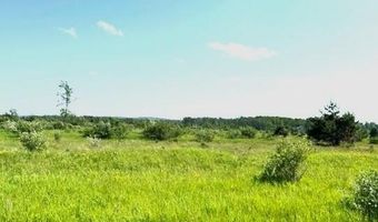 Sunset Boulevard 52, Alanson, MI 49706
