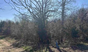 Little Creek Circle, Ash Flat, AR 72513