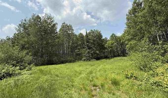 TBD Samuelson Road-Sec22, Angora, MN 55703