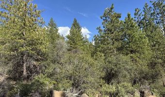 Thunderbear Road 46, Bonanza, OR 97623