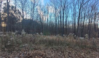 1091 Plum Valley Rd NW, Alden, MI 49612