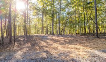 LOT 1 ROCK RIDGE SUBDIVISION, Arley, AL 35541