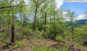 Lot 41 White Fox Lane, Banner Elk, NC 28604