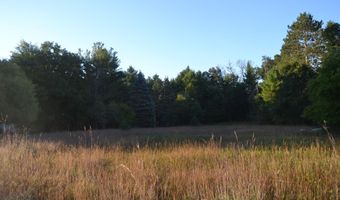 38 S Eugene Dr, Roscommon, MI 48653