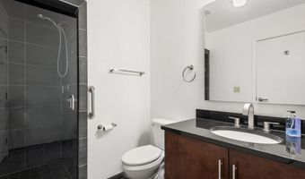 361 Robinson St 238, Basalt, CO 81621