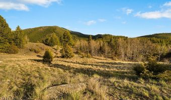 1470 Lime Spur Rd, Anaconda, MT 59711