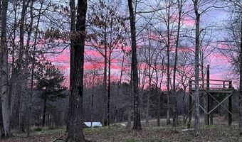 3482 Forty Forks Rd, Bethel Springs, TN 38315