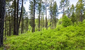 616 Ranch Rd, Bigfork, MT 59911