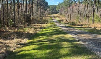 221 W 1st St, Arabi, GA 31712