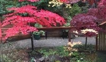 355 Granite St, Ashland, OR 97520