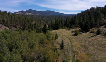 Nhn Willow Creek Road, Corvallis, MT 59828