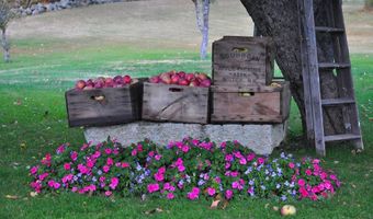 216 North Rd, Candia, NH 03034