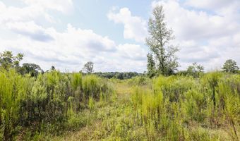 2778 SW Big Creek Dr, Bogue Chitto, MS 39629