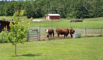 8445 HAINES, Alanson, MI 49706