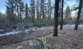Bobcat Circle, Beatty, OR 97621