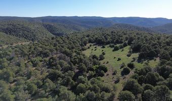 Picketwire Rd, Boncarbo, CO 81024