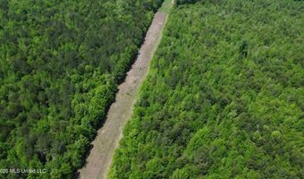 Christian Hts Road, Braxton, MS 39044