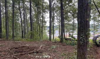 1 CENTURAS Cir 2, Alpine, AL 35014