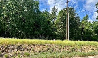 LOT 4 HWY 24, Centreville, MS 39631