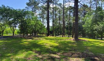 118 BENJAMIN Ave, Alma, GA 31510