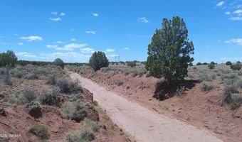 Tbd Ranch of the White Mountains, Concho, AZ 85924