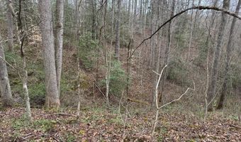 Honey Creek Loop Rd, Allardt, TN 38504
