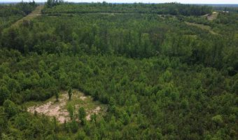Tucker Road lot 9, Bath Springs, TN 38311