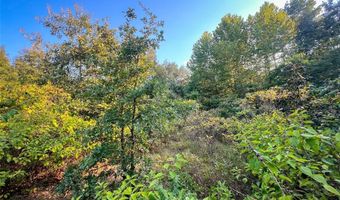 Tbd Highway 3, Antlers, OK 74523