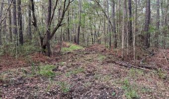 Lower Bay Road, Bay St. Louis, MS 39520