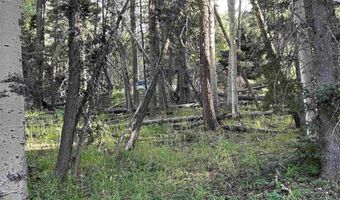 2 Back Basin Rd, Angel Fire, NM 87710