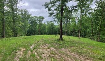 213 Wynn Fry, Big Sandy, TN 38221