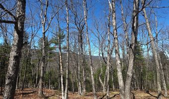 393 SPITZ Ln 99, Basye, VA 22810