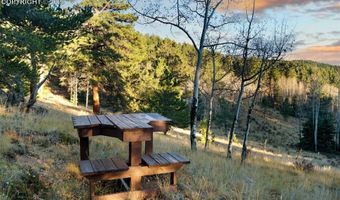 516 Saguache Dr, Florissant, CO 80816