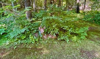 ON CITKO LN, Armstrong Creek, WI 54103