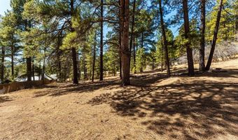 116 Pine Dr, Bayfield, CO 81122