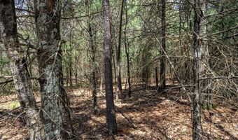 S Badger Lane lot 39, Arkdale, WI 54613