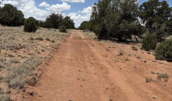 104 N 5532, Concho, AZ 85924