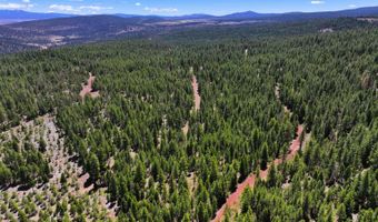 8193 Carlsberg Rd, Alturas, CA 96101