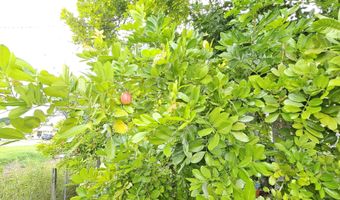 632 SW 13th St, Belle Glade, FL 33430