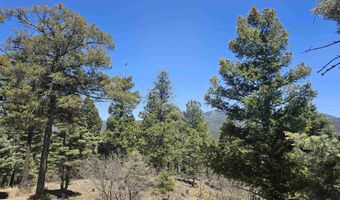 16 San Francisco Ter, Angel Fire, NM 87710