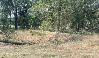 LOT 6 Leach Woods East CR 1560, Alba, TX 75410