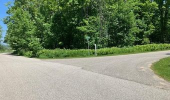 TBD Maple Isle Court Unit 32, Alanson, MI 49706
