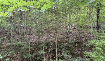 5 Lots Fortunato Dr, Baneberry, TN 37890