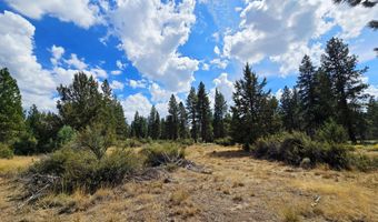 Swan Drive 16 & 17, Bonanza, OR 97623