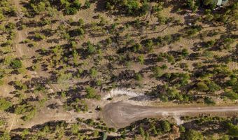 CR 2193, Alpine, AZ 85920