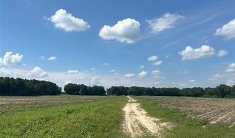 216 County Road 201, Ariton, AL 36010